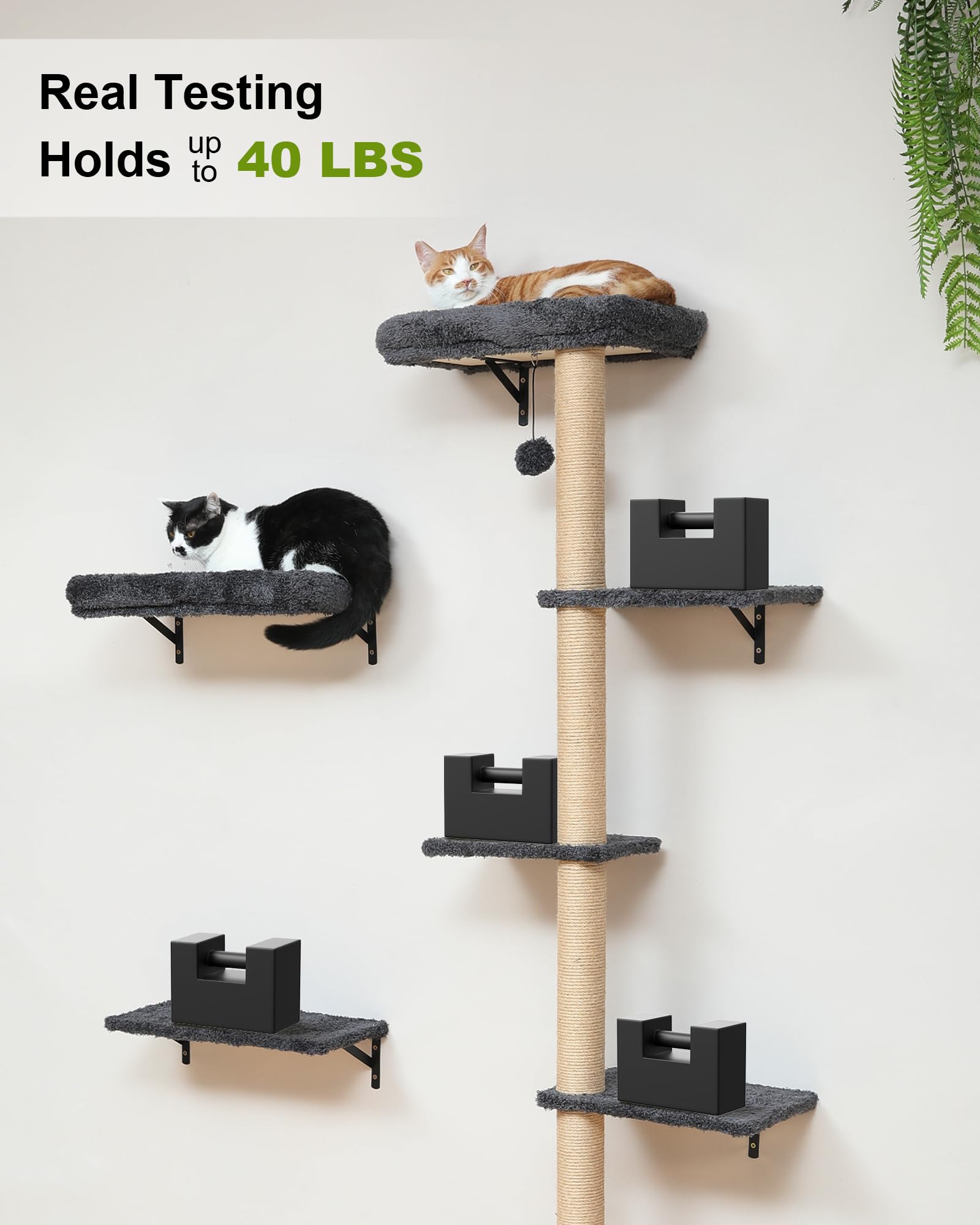 FUKUMARU cat wall shelves cat bed and tree combo