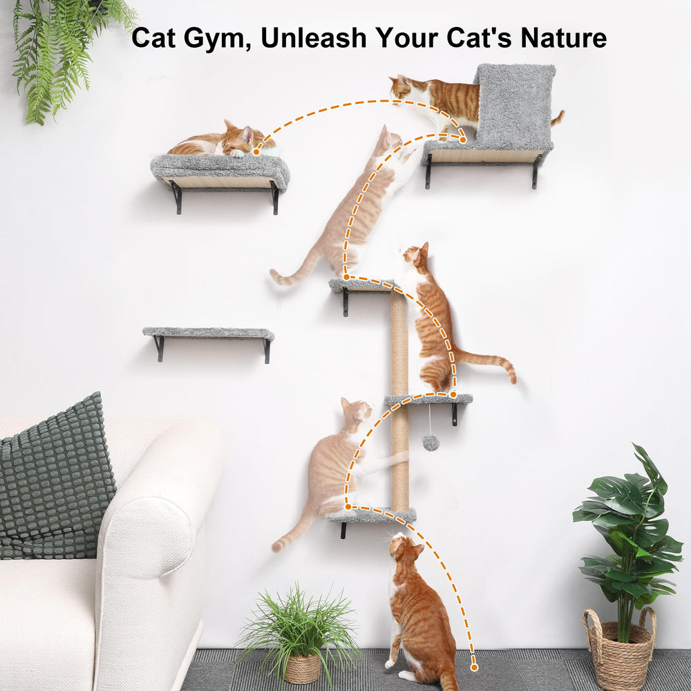 FUKUMARU cat wall shelves cat-bridge in use demonstrates space-saving play area