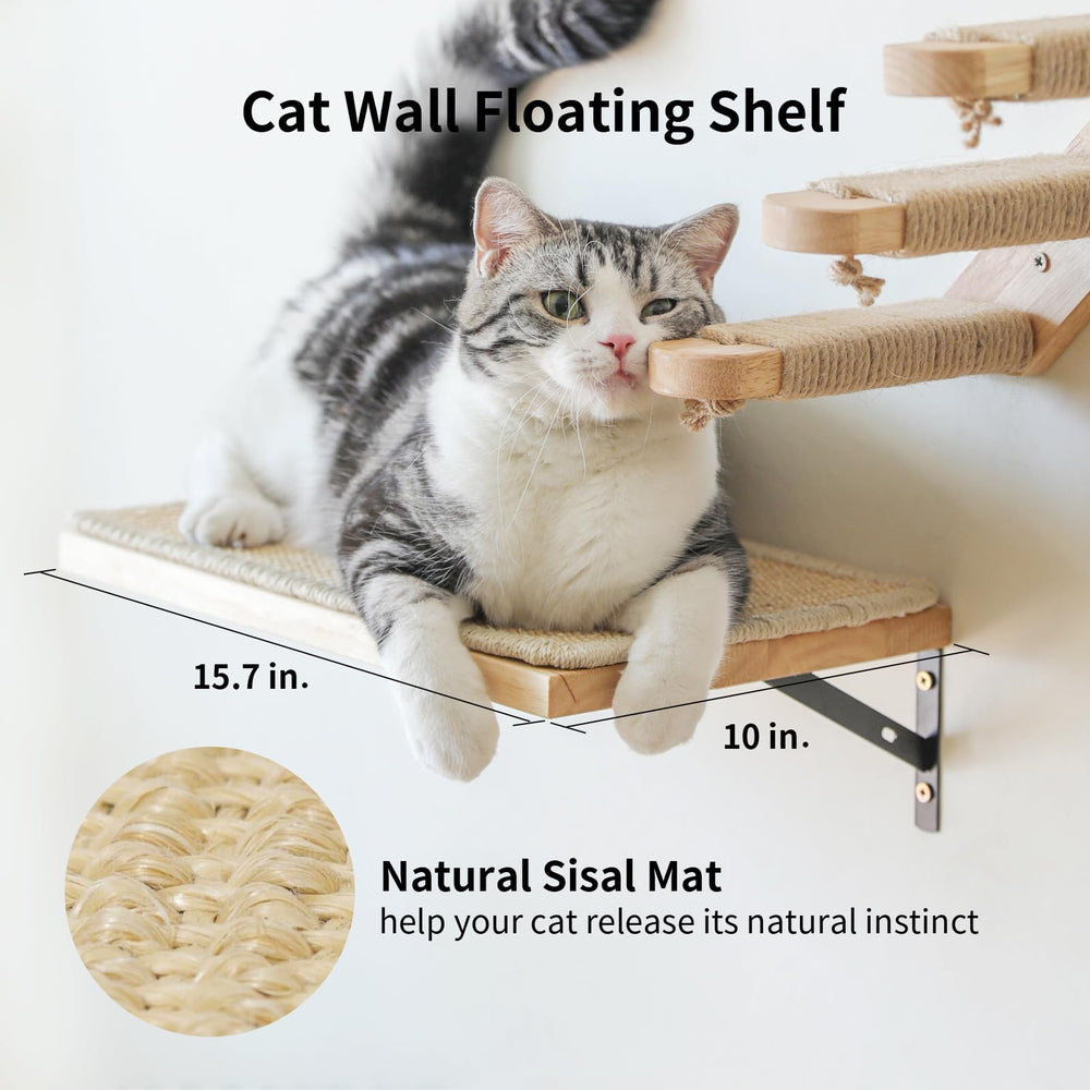 FUKUMARU cat wall shelves cat play and climb supports energetic exploration.