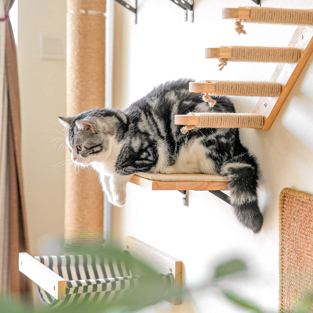 FUKUMARU cat wall shelves closeup rubber wood captures sturdy material supporting active cats.