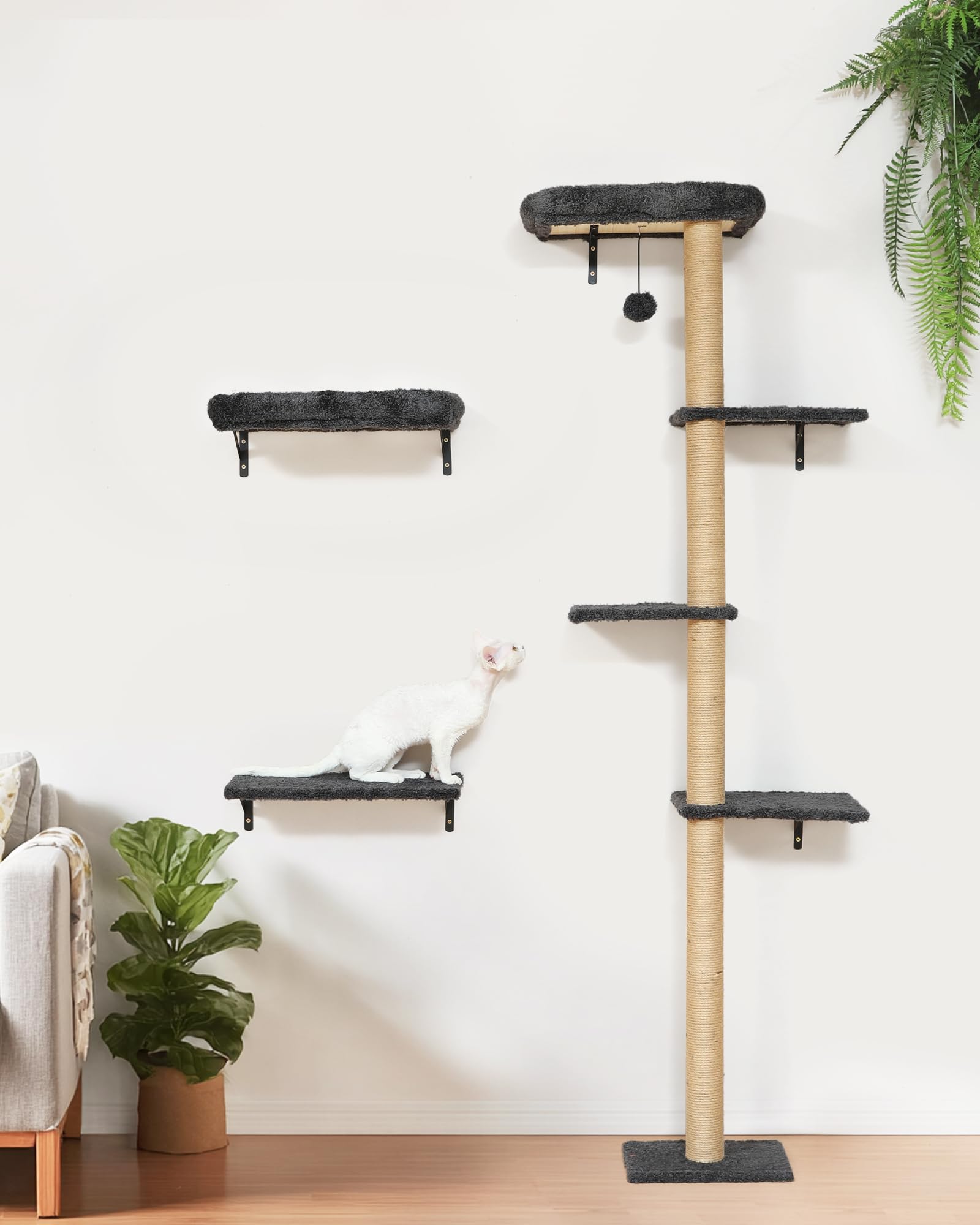 FUKUMARU cat wall shelves DIY jungle gym flexibility