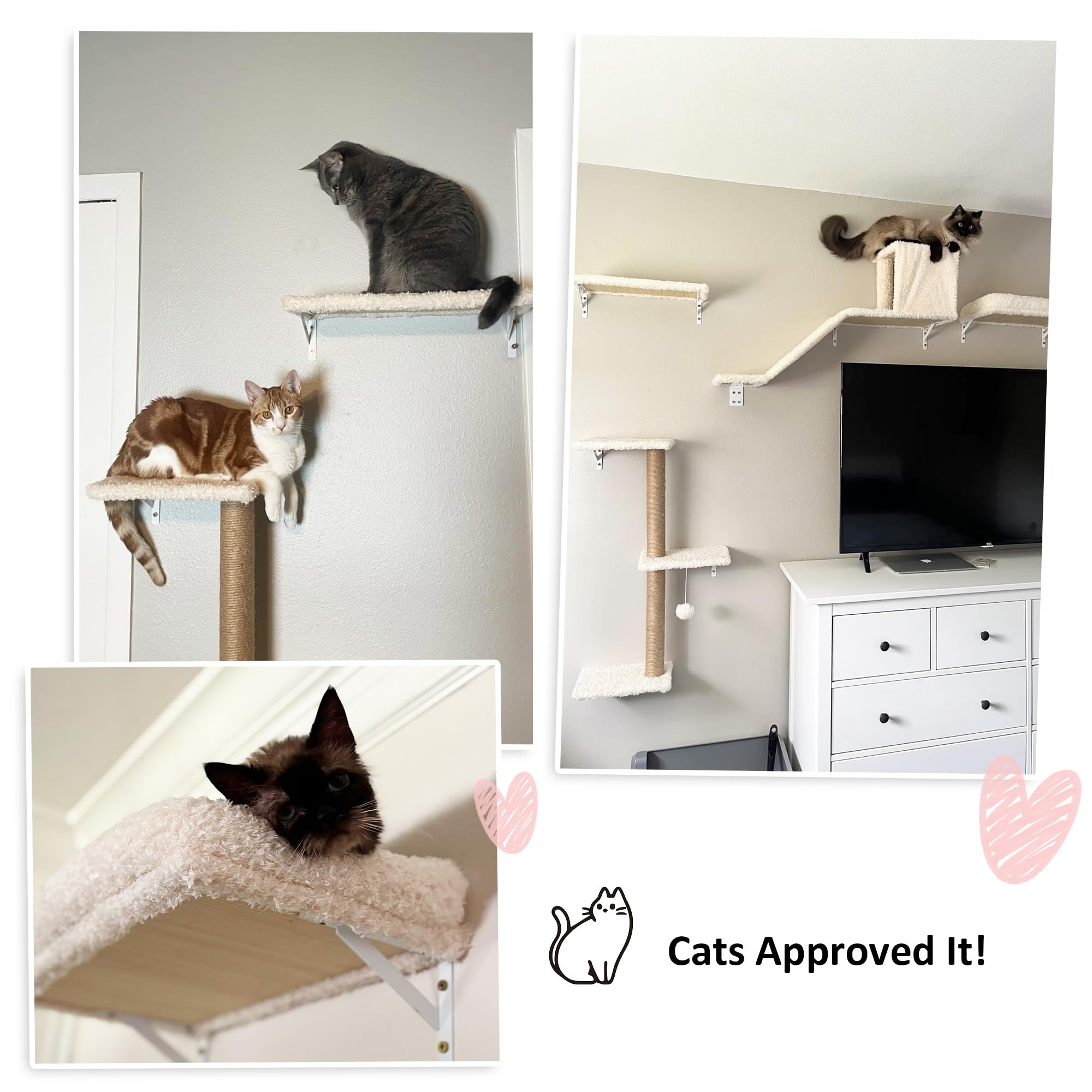FUKUMARU Cat Wall Shelves drywall 16in setup demonstrates stud-based mounting