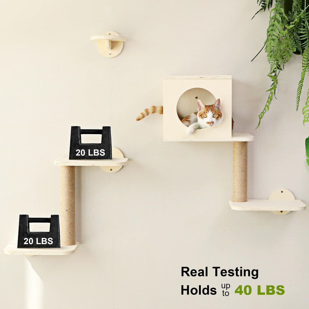 FUKUMARU cat wall shelves wood texture—robust construction supports active play