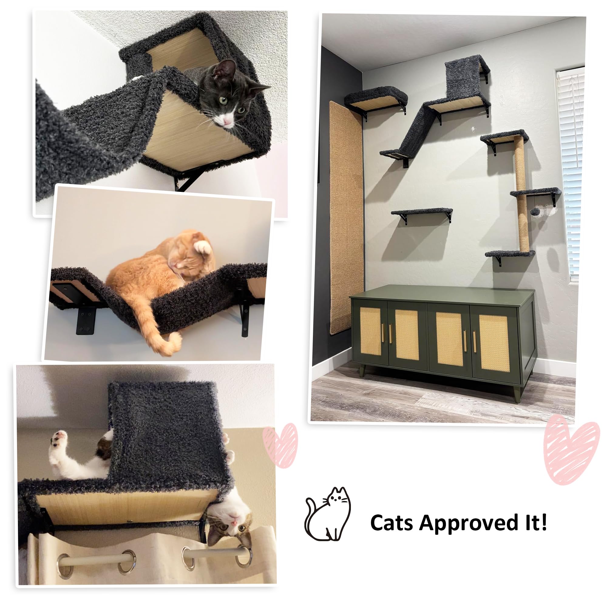 FUKUMARU private territory helps cats relax away from dogs
