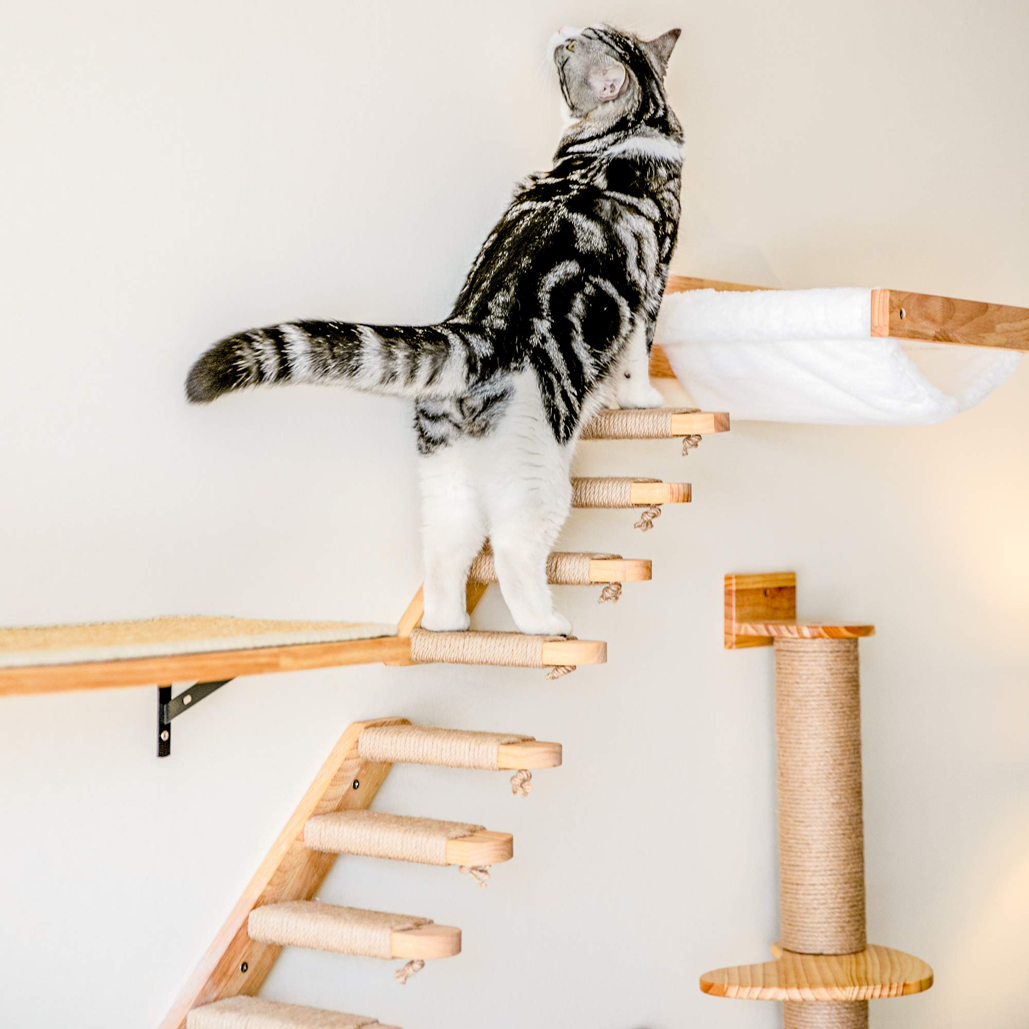 FUKUMARU cat wall shelves solid rubber wood emphasize premium materials.