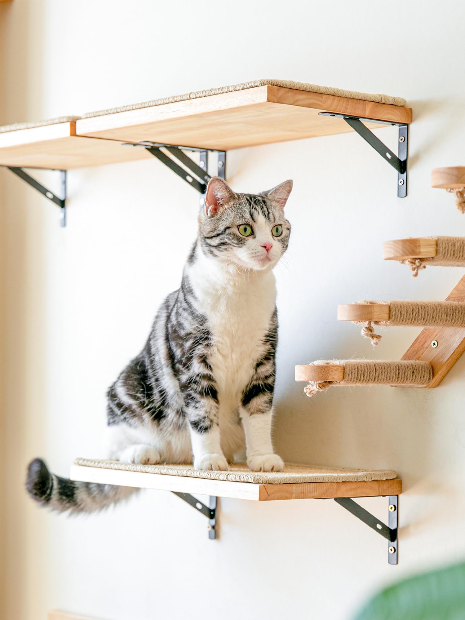 FUKUMARU cat wall shelves space-saving design demonstrates room-efficient cat furniture.