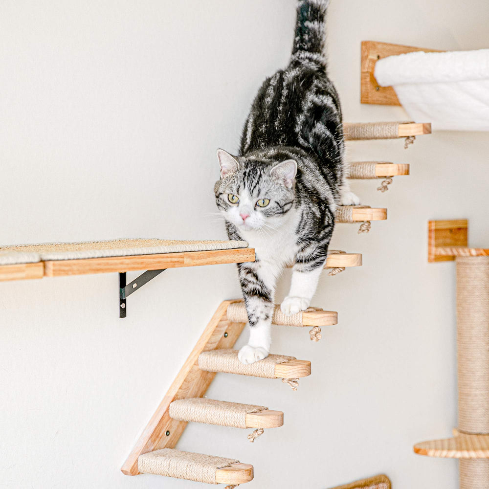 FUKUMARU cat wall shelves space-saving vertical layout saves floor space.