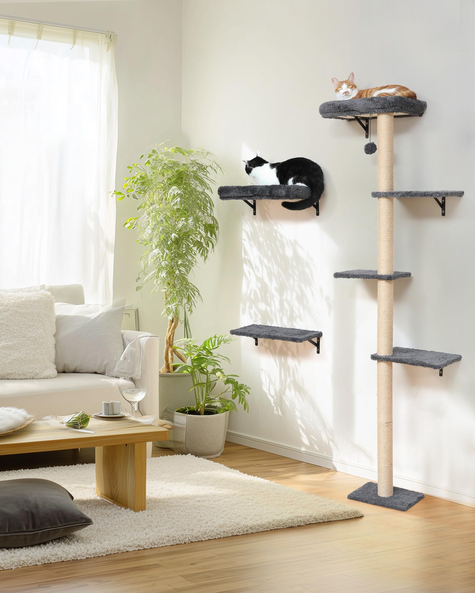 FUKUMARU cat wall shelves window-side setup for sunny naps