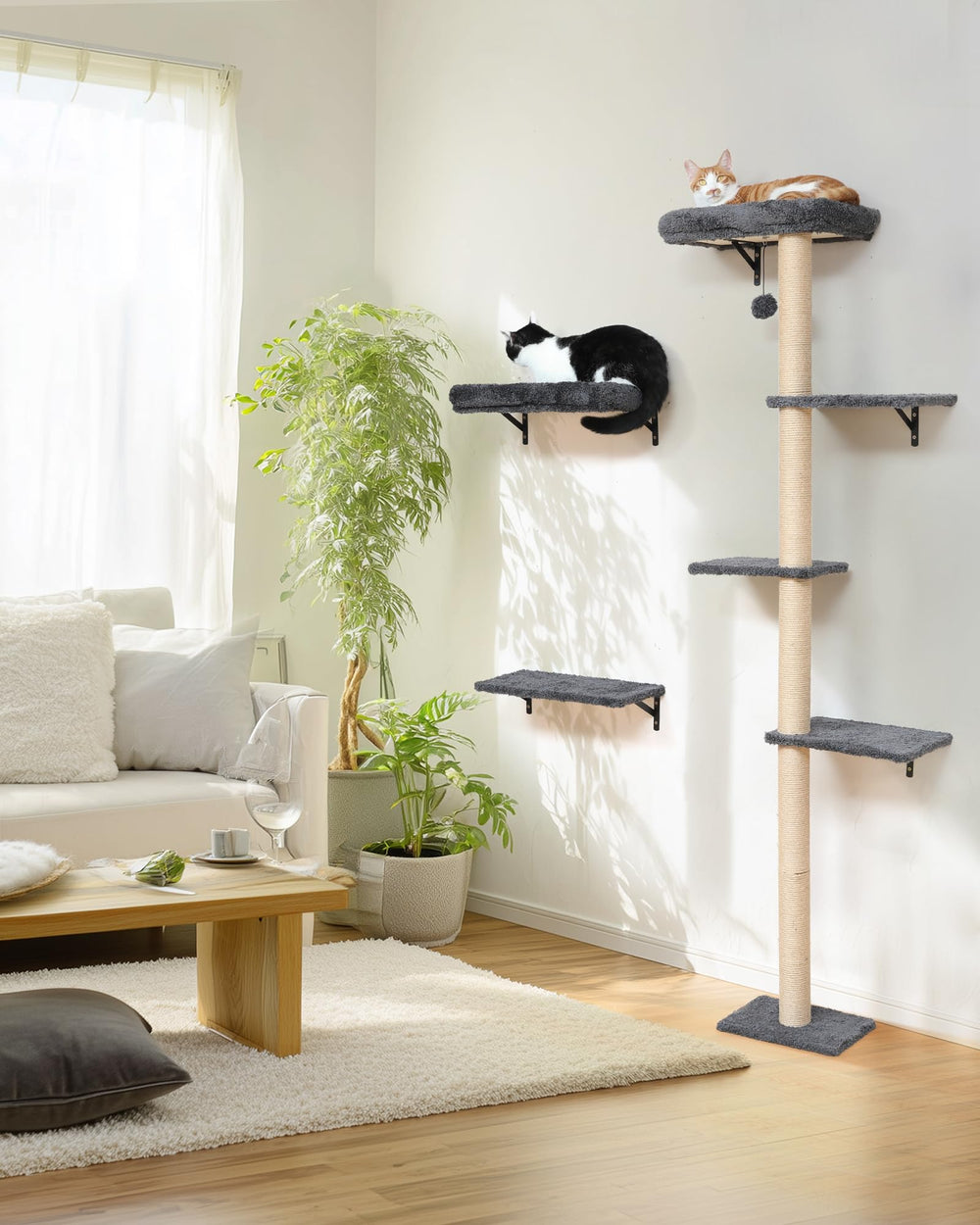 FUKUMARU cat wall shelves window-side setup for sunny naps