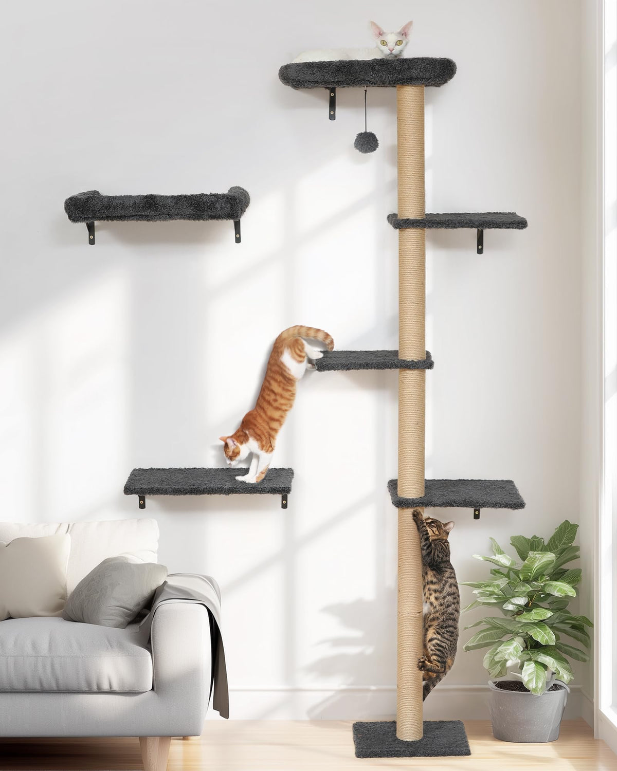 FUKUMARU cat wall shelves wood frame for sturdy play and climb