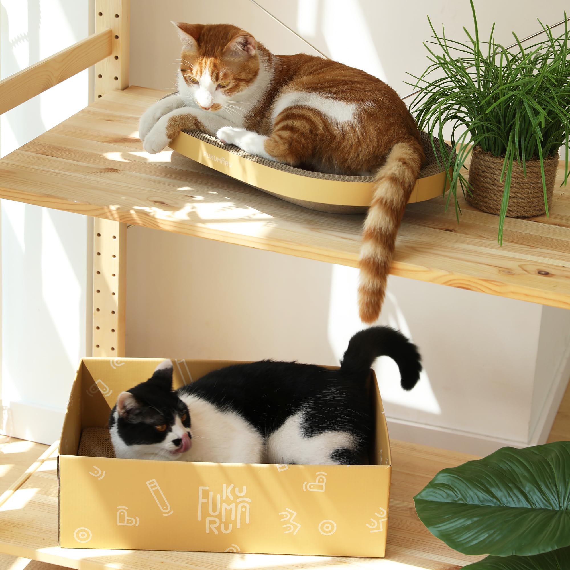 FUKUMARU furniture-protection solution helps preserve sofas and chairs.