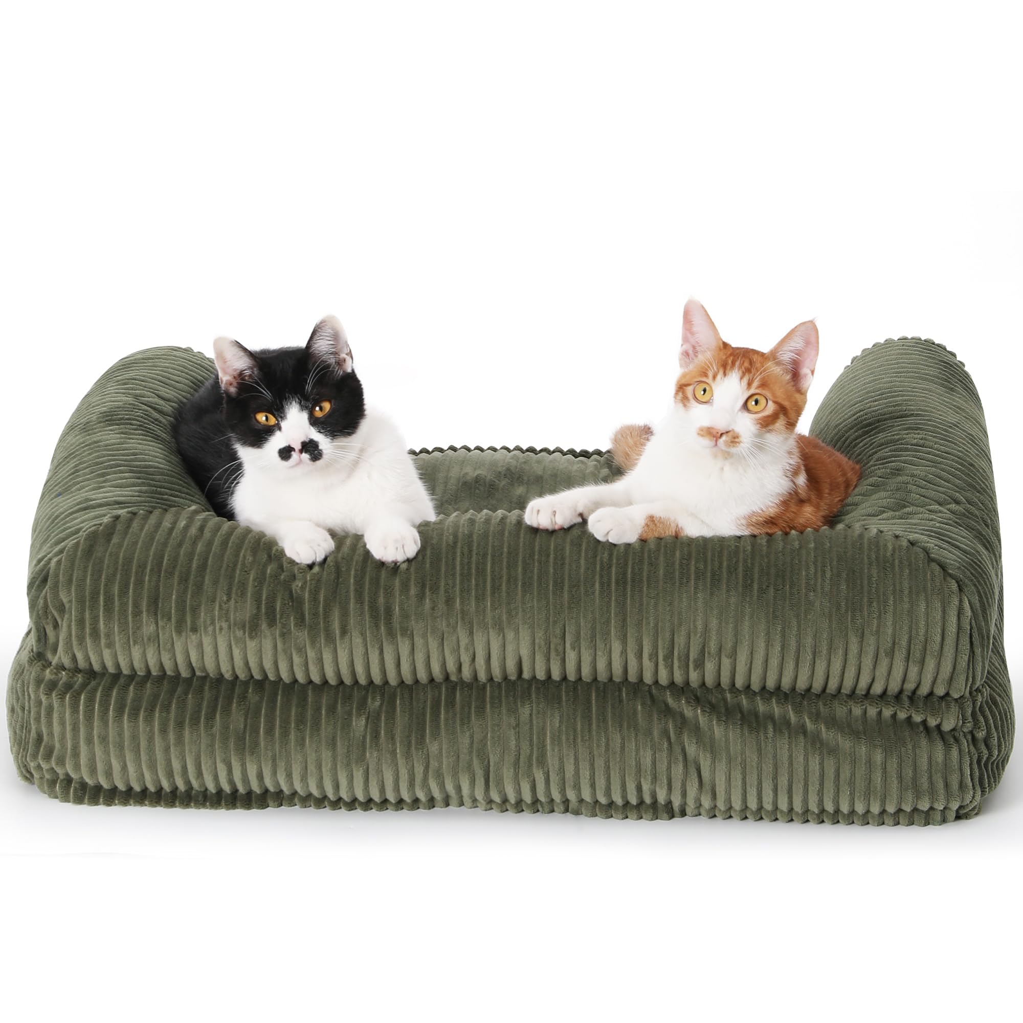 FUKUMARU green pet sofa blends with home decor
