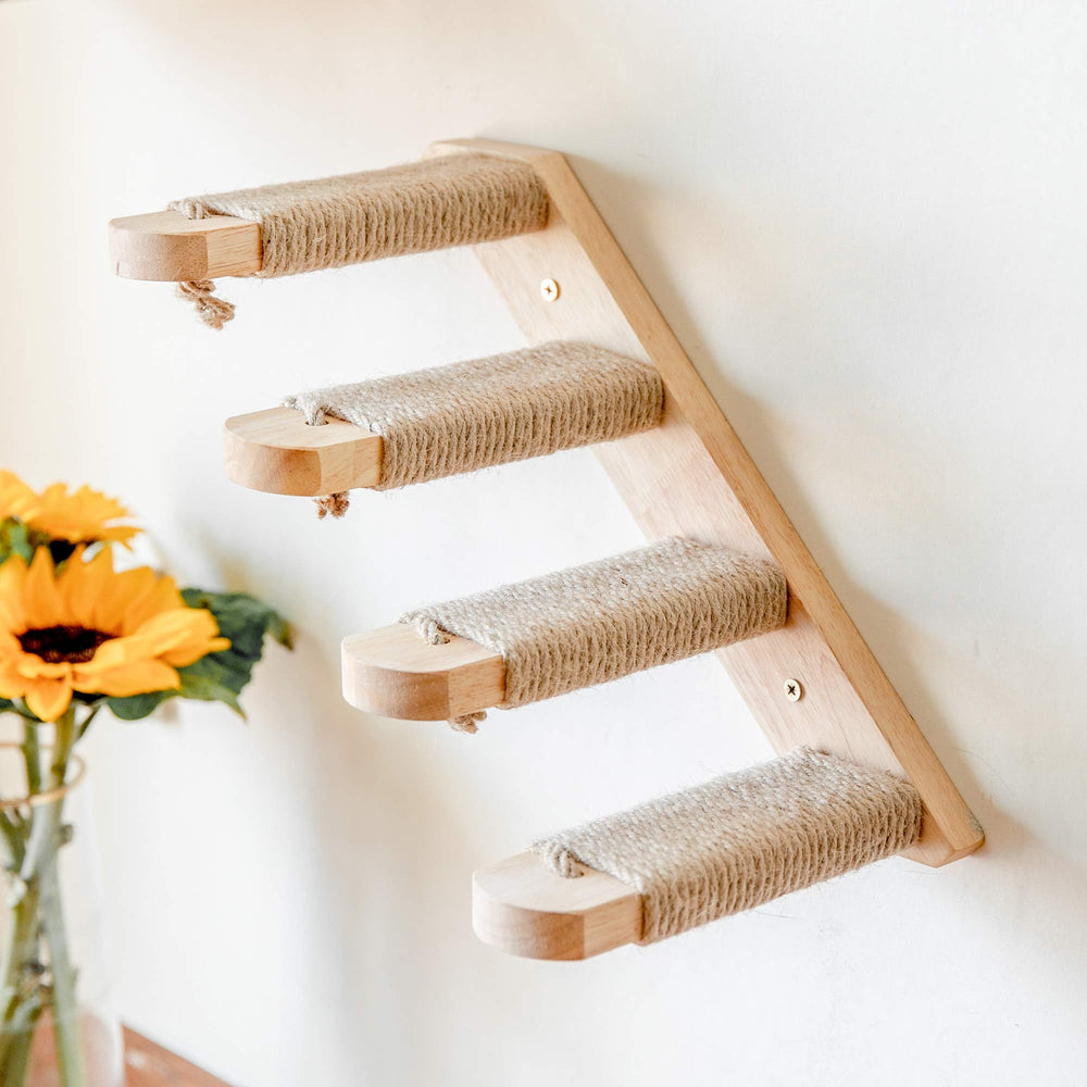 FUKUMARU kitten climbing on shelves shows active play.