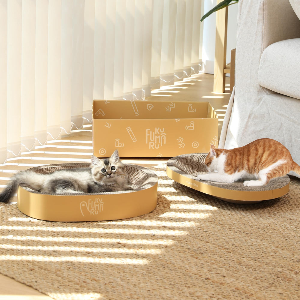 FUKUMARU versatile placement options for apartments and homes.