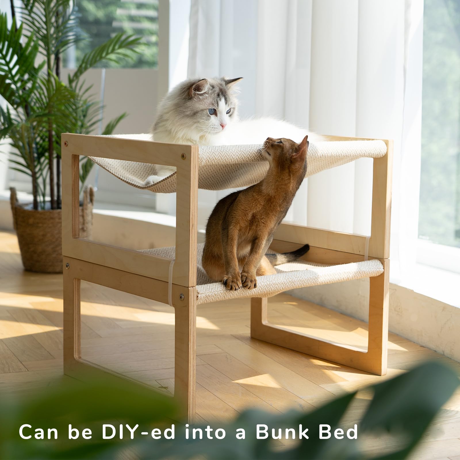 FUKUMARU multi-species pet bed suitable for cat, dog, bunny.