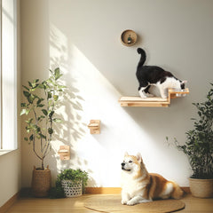 FUKUMARU solid rubber wood shelves showcase durable, weight-bearing cat furniture.