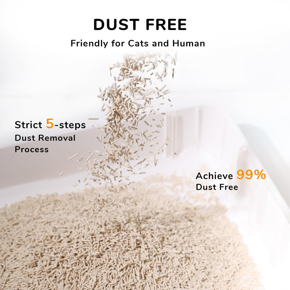 FUKUMARU litter odor control image suggesting a fresher home environment