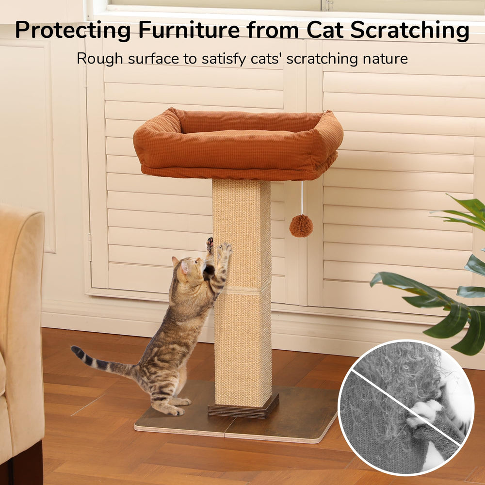 FUKUMARU removable washable perch simplifies cleaning and maintenance
