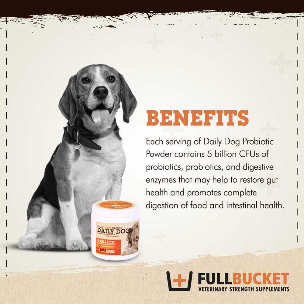 FullBucket dog probiotic powder with spoonful dosing at mealtime.