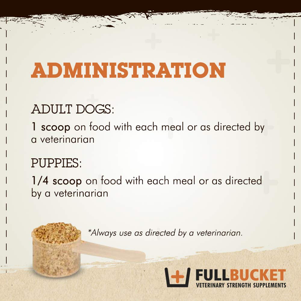 FullBucket gut health dog supplement visual promotes balanced digestion.