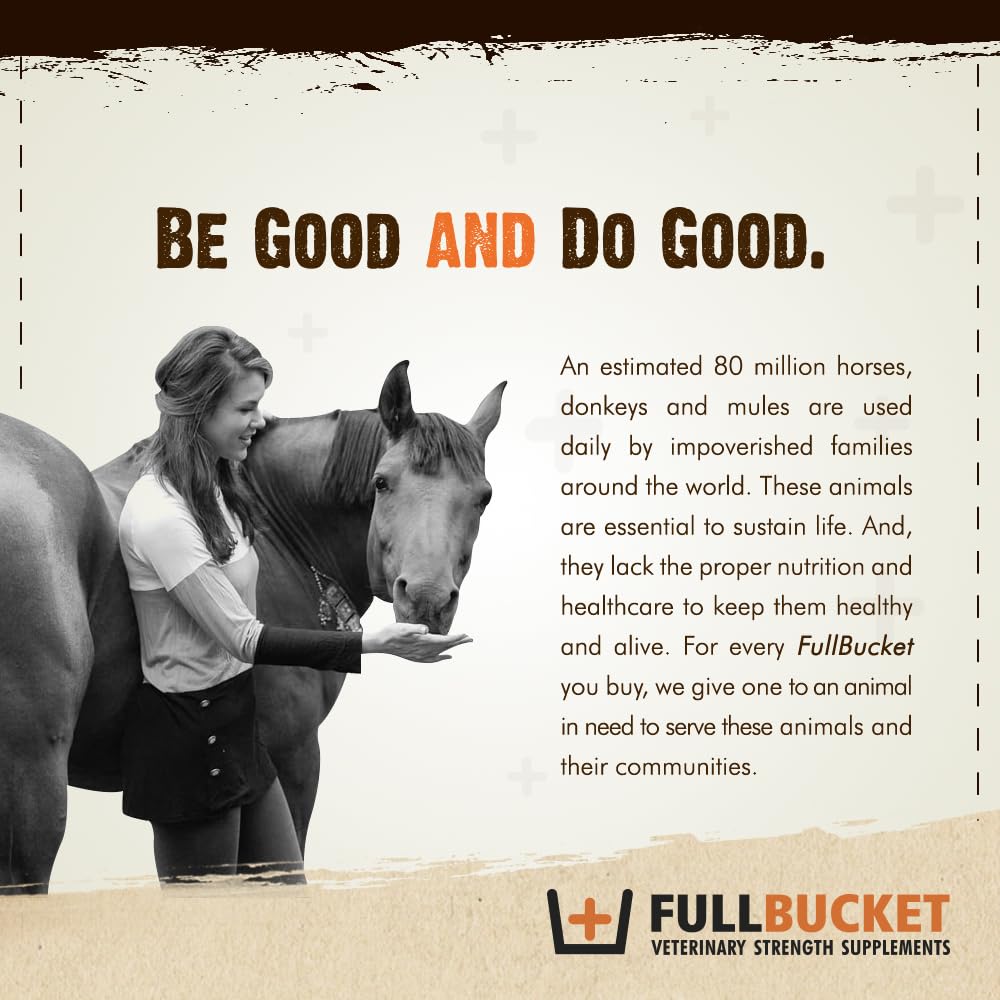 FullBucket nutrient absorption dog probiotic powder supports daily meals.