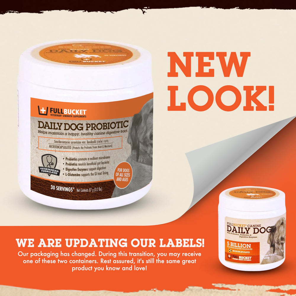 FullBucket probiotic dog digestive enzymes powder improves nutrient absorption.