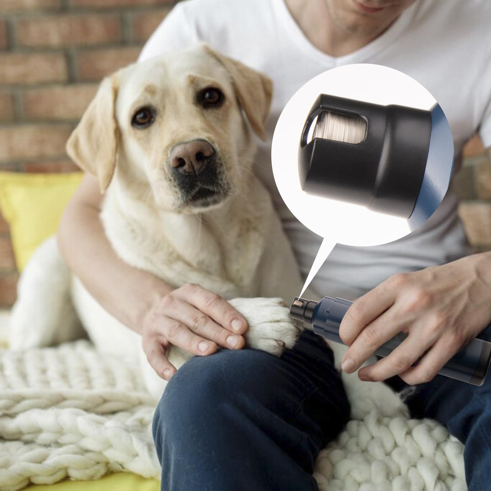 Fumeister blue pet nail grinder close-up shows portable cordless convenience