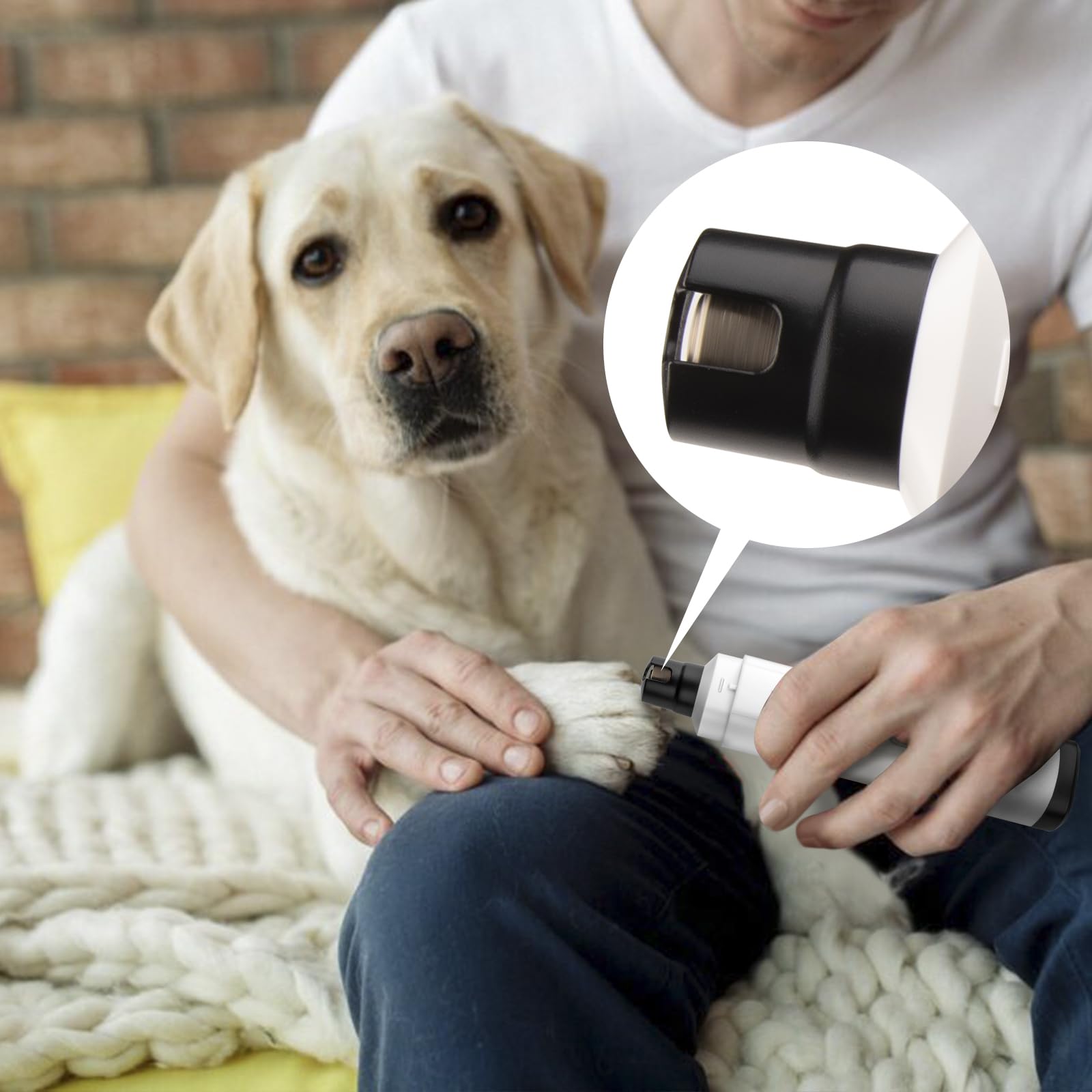 Fumeister paw-grooming-dogs-cats captures easy at-home grooming for pets