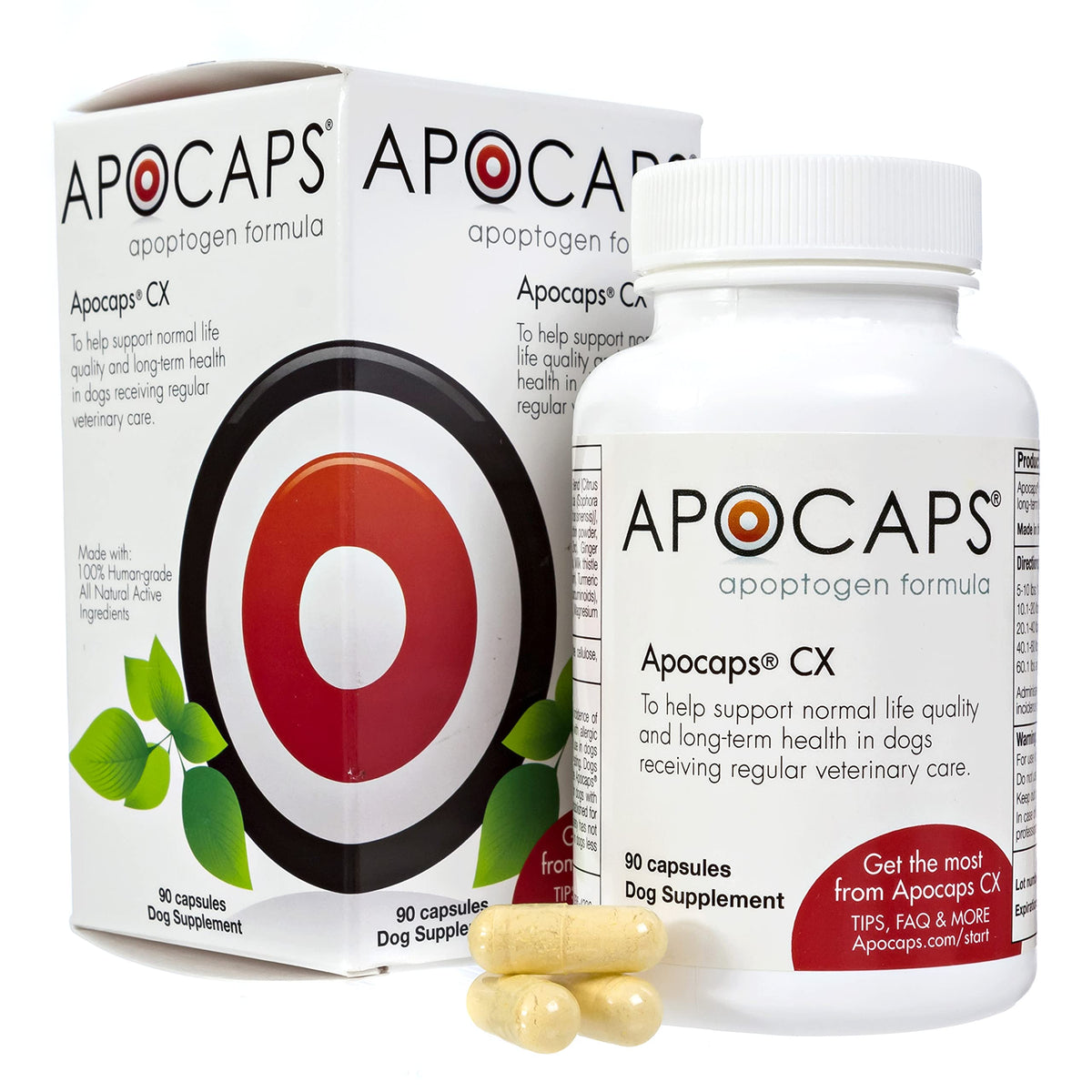 Functional Nutriments Apocaps CX capsules closeup for canine apoptosis support.