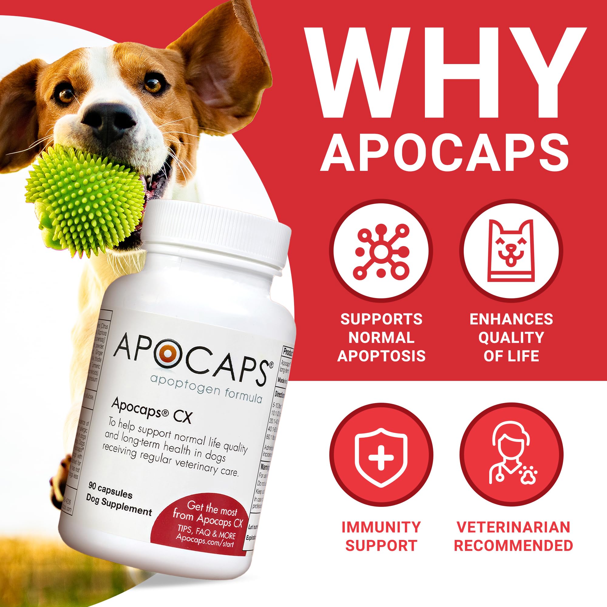 Functional Nutriments Apocaps CX dog bottle showing easy daily dosing for canine wellness.