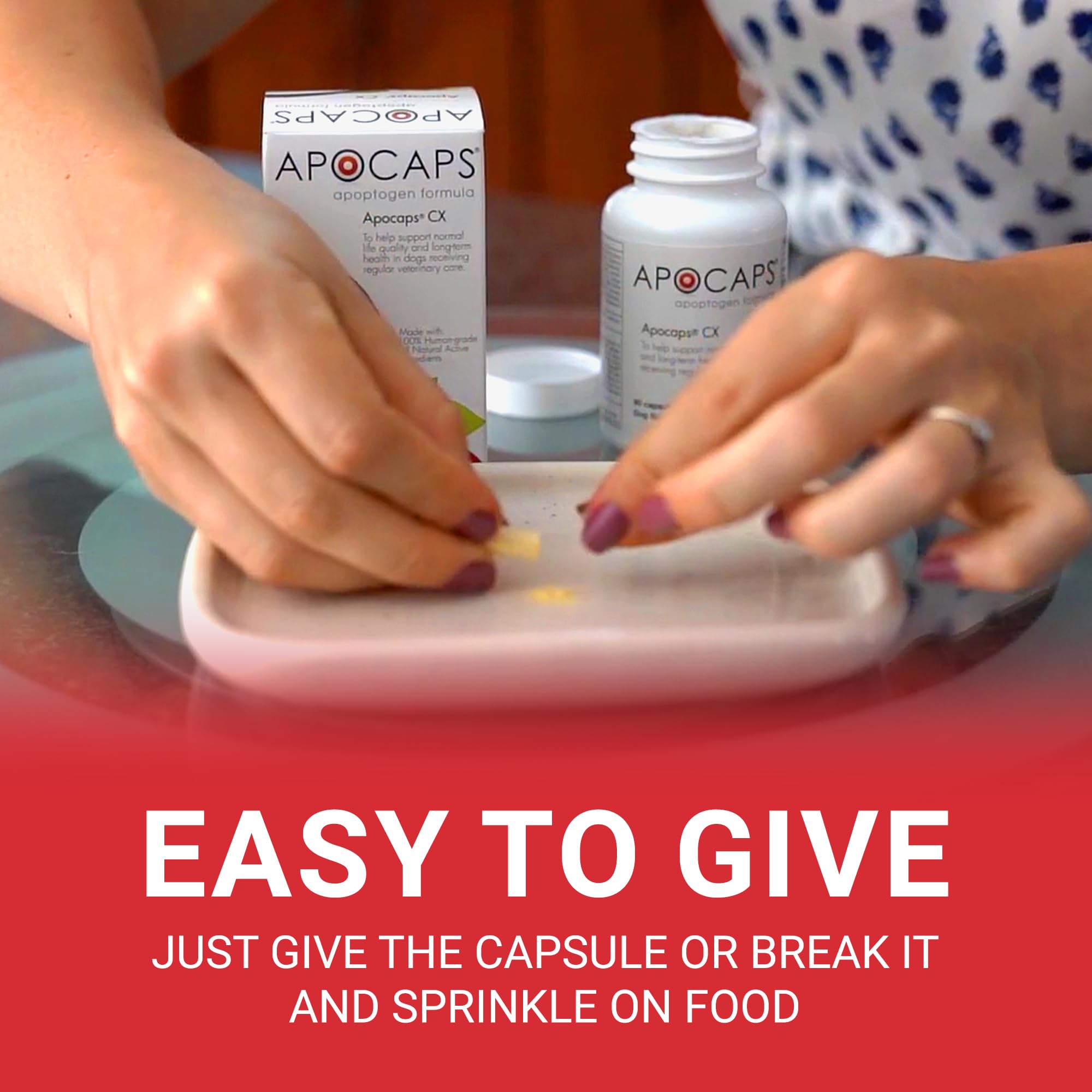 Functional Nutriments Apocaps CX silymarin closeup for canine wellness.