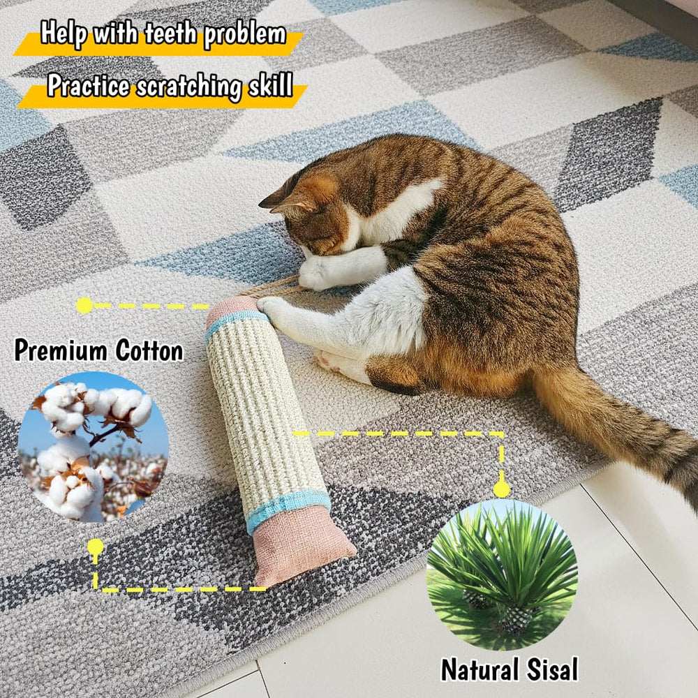 FuneeTop ding-ding-ding sound prompts interactive chasing and paw play.