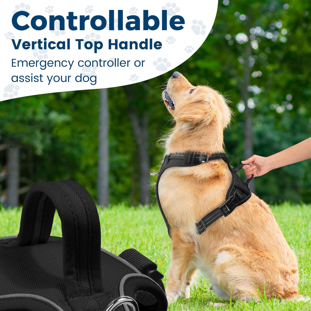Funfox dog harness breathable mesh padding keeps your dog comfortable after activity
