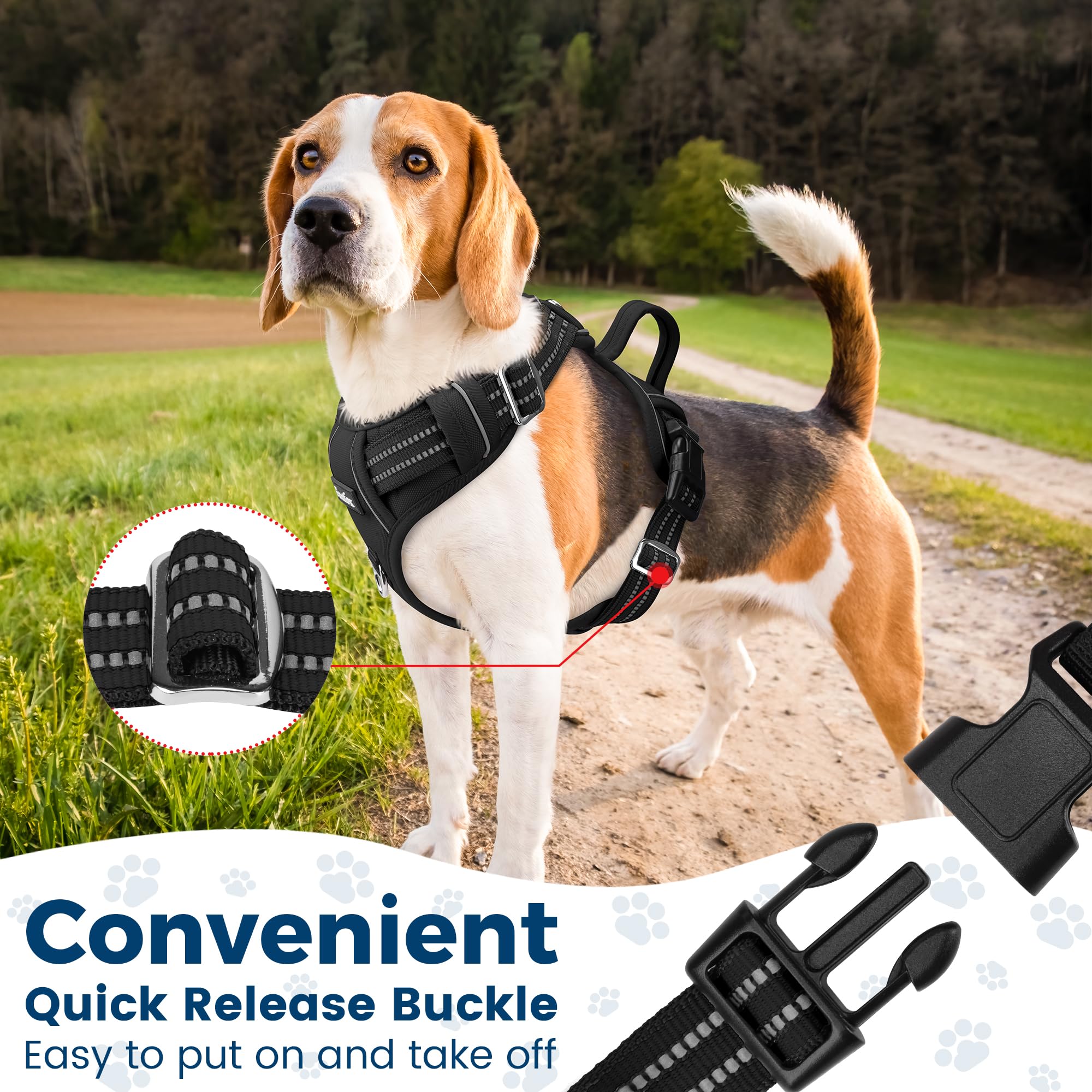Funfox dog harness reflective strips boost visibility during night walks