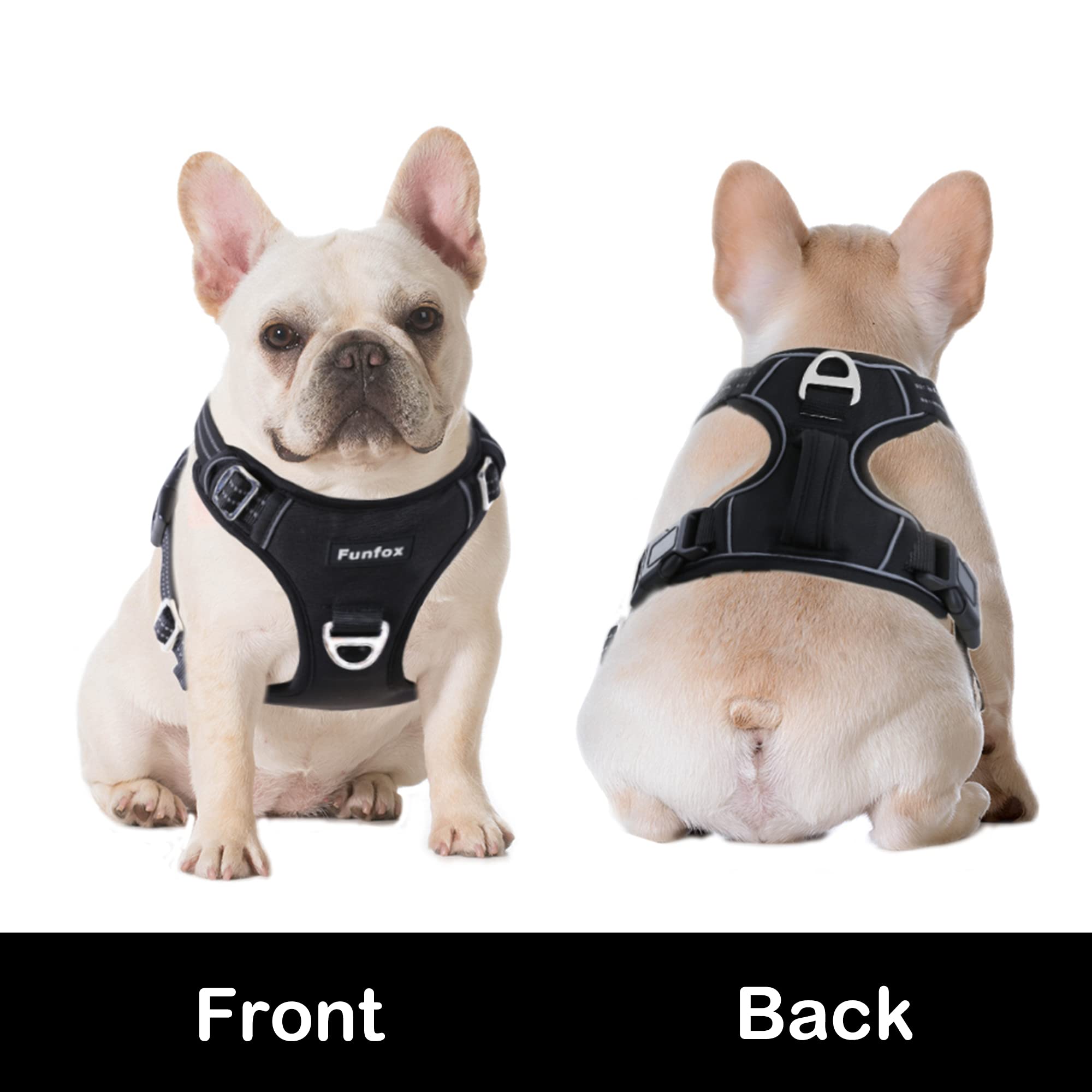 Funfox dog harness two leash clips offer versatile control options