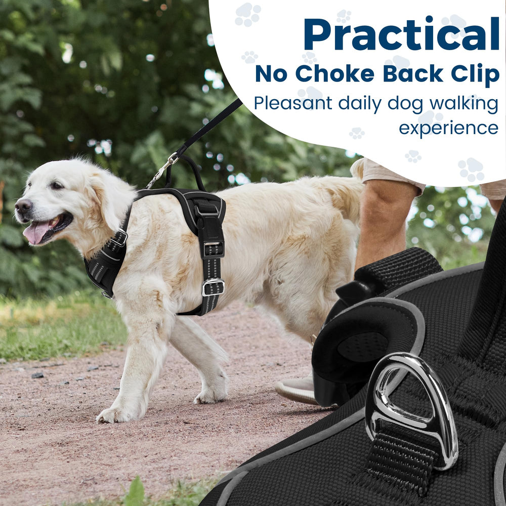 Funfox dog harness vertical top handle provides quick grab-and-go control