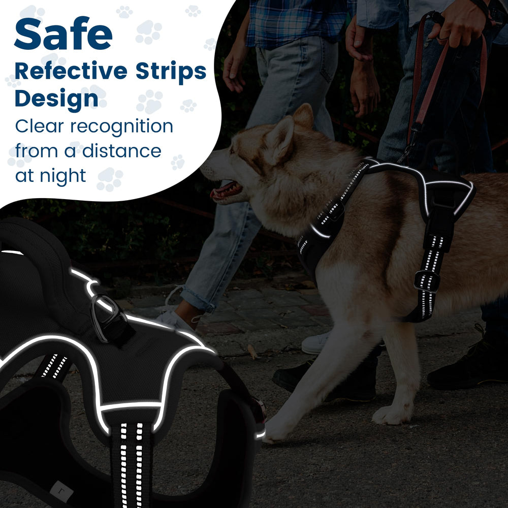 Funfox dog harness waterproof polyester material resists drizzle for everyday adventures