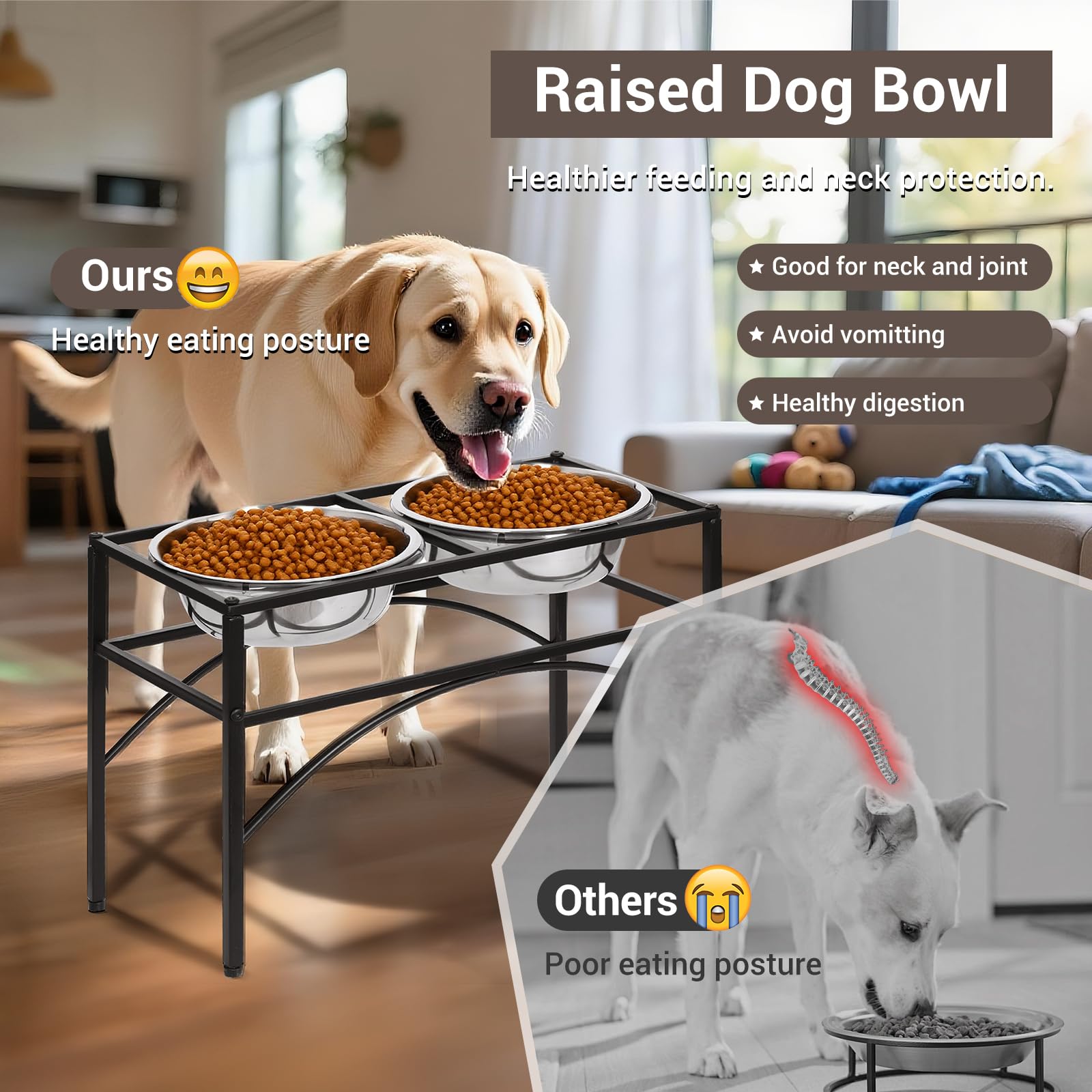 FUNKEEN elevated dog bowls stand two bowls for meals and water