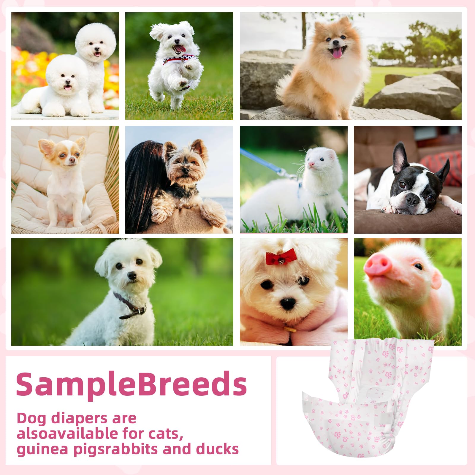 FUNLIYING dog diapers for small breeds including Bichon Frise and Shih Tzu