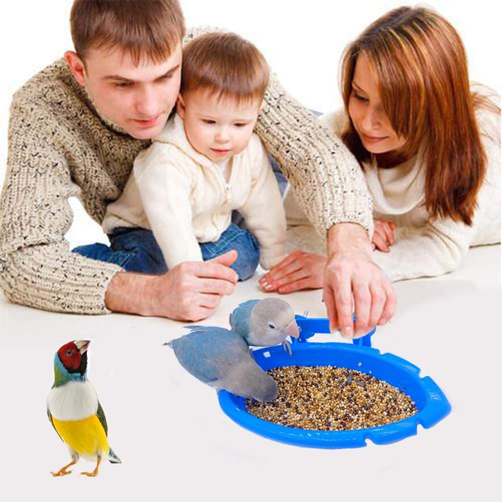 FunMove bird bath cage accessories enhance enrichment and interaction