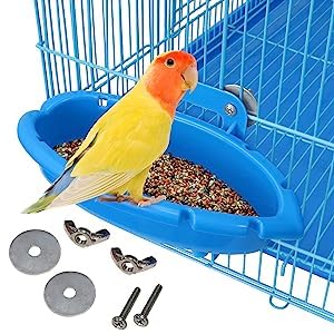 FunMove bird bath multi-functional box supports feeding or perching