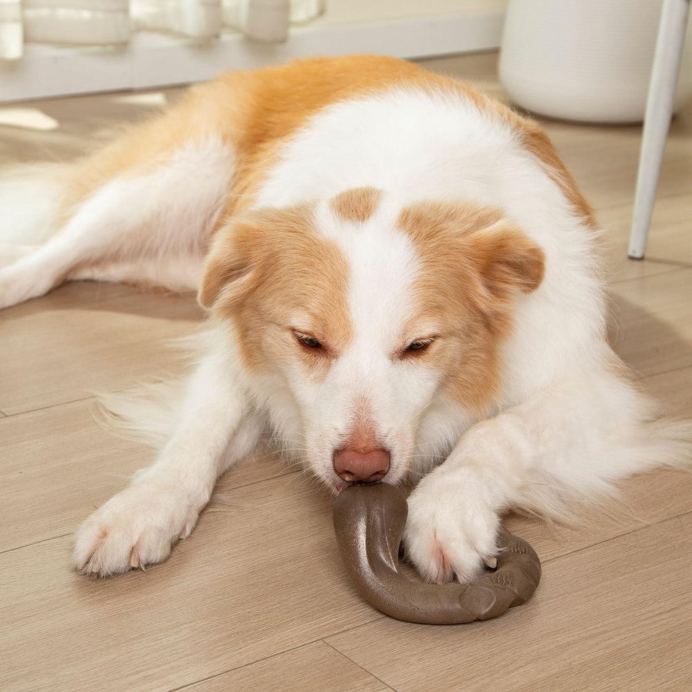 Funnbite Tough Dog Toy bacon-scented curved bone packaging shot appeals to gift-ready dog owners.