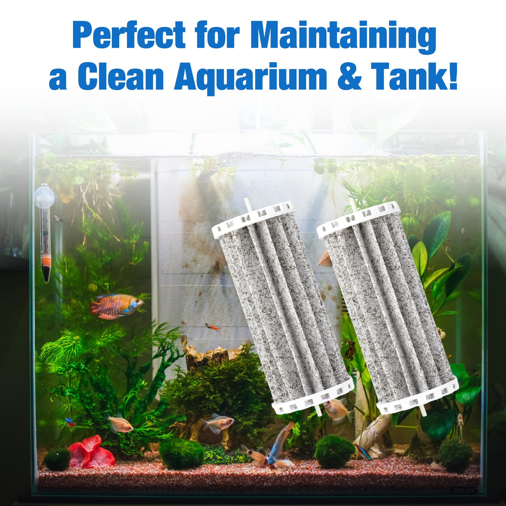 Funria aquarium water quality demo—visual showing potential clarity improvement