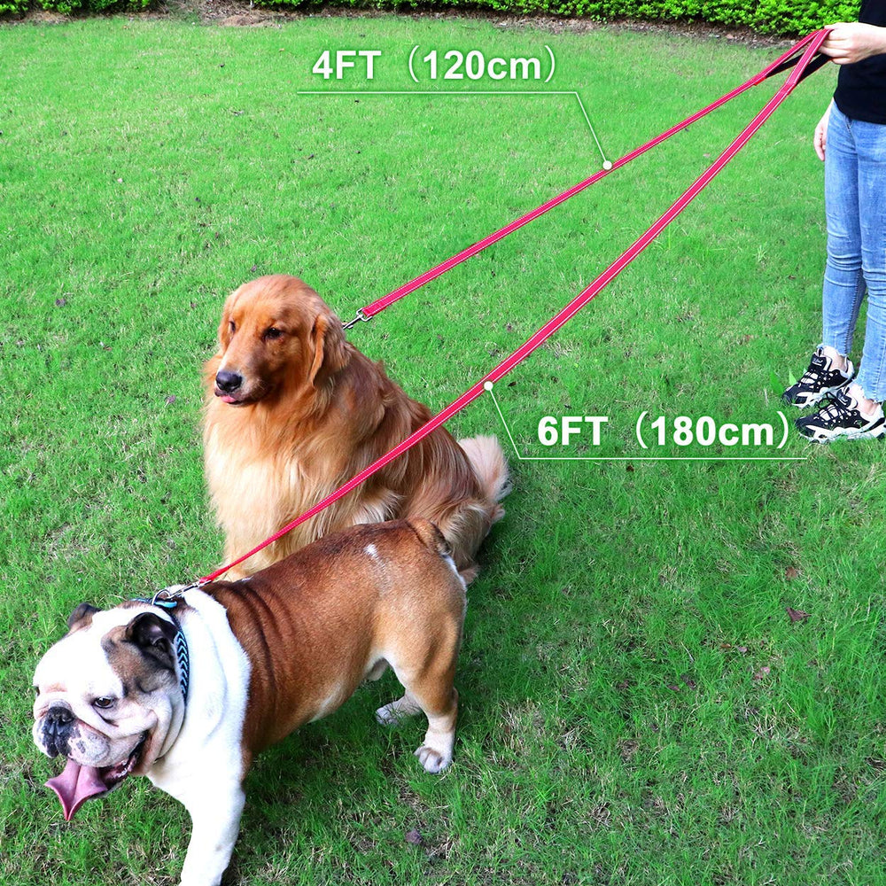 FunTags large dog leash 1 inch width supports control on bigger breeds.