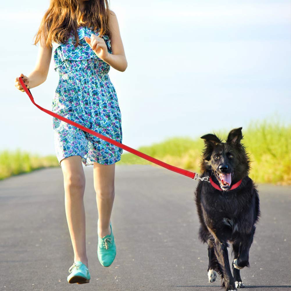 FunTags matching collar along with the red leash for a coordinated look.
