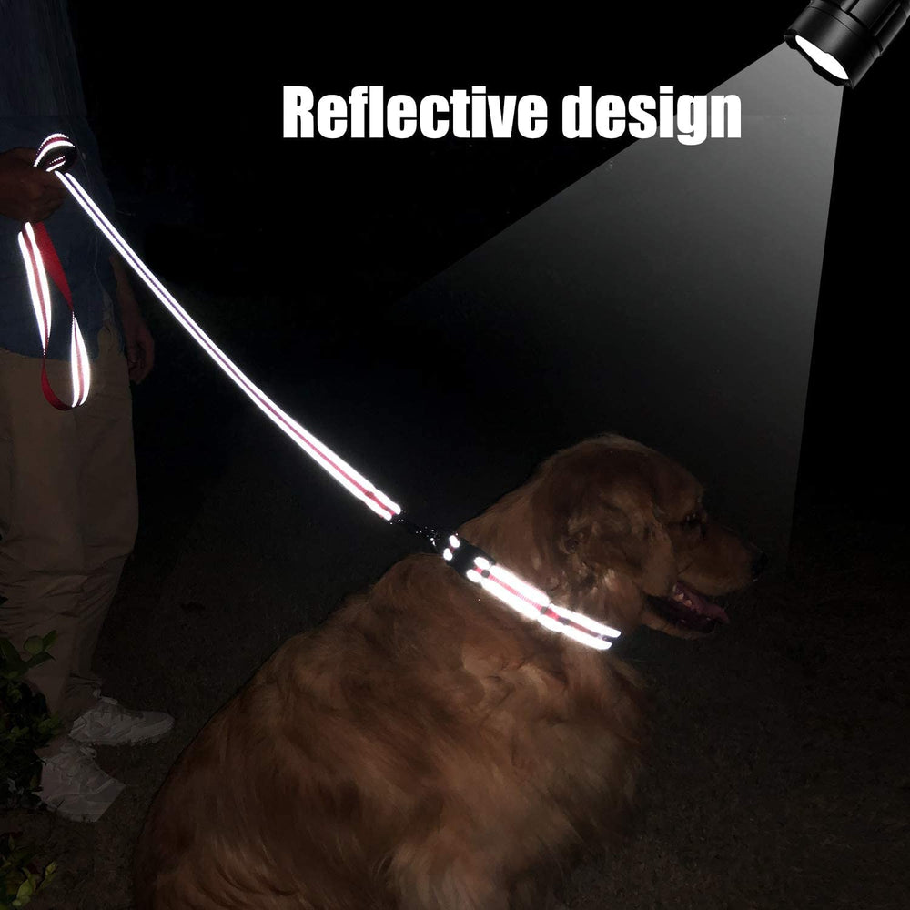 FunTags medium dog leash 3 quarter inch width balances control and comfort.
