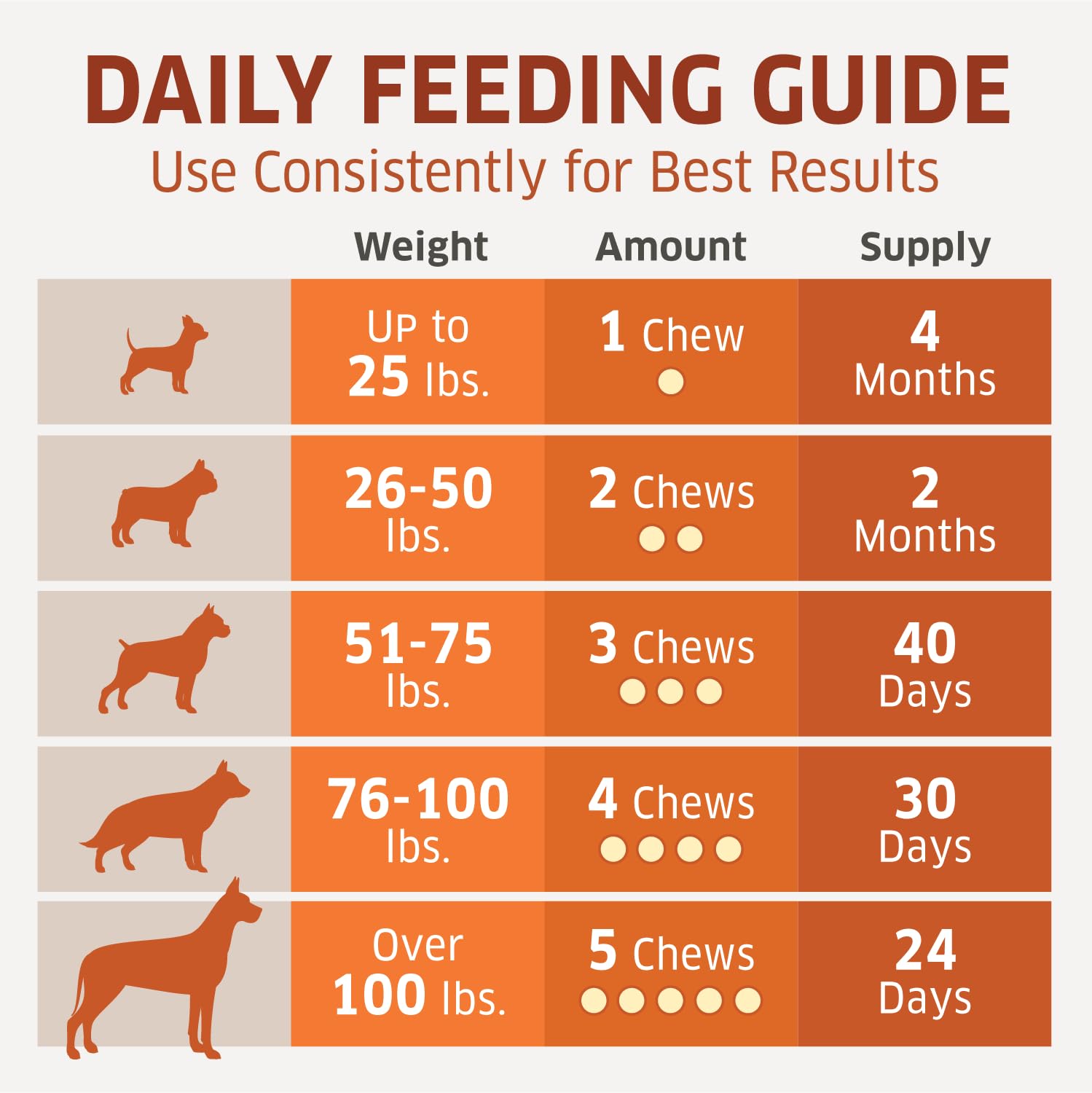 Fur Belly dog enjoying chew suggests easy daily joint-support routine