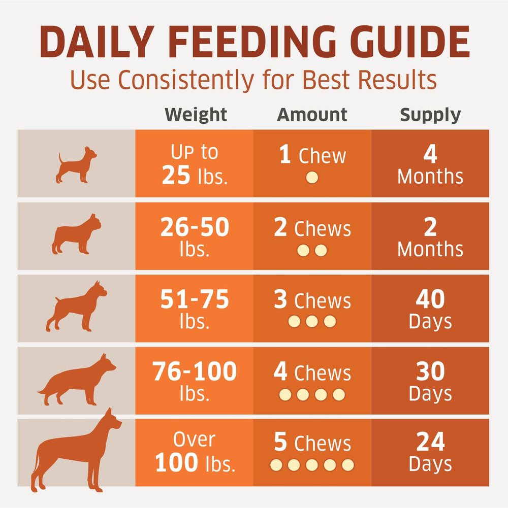 Fur Belly dog enjoying chew suggests easy daily joint-support routine
