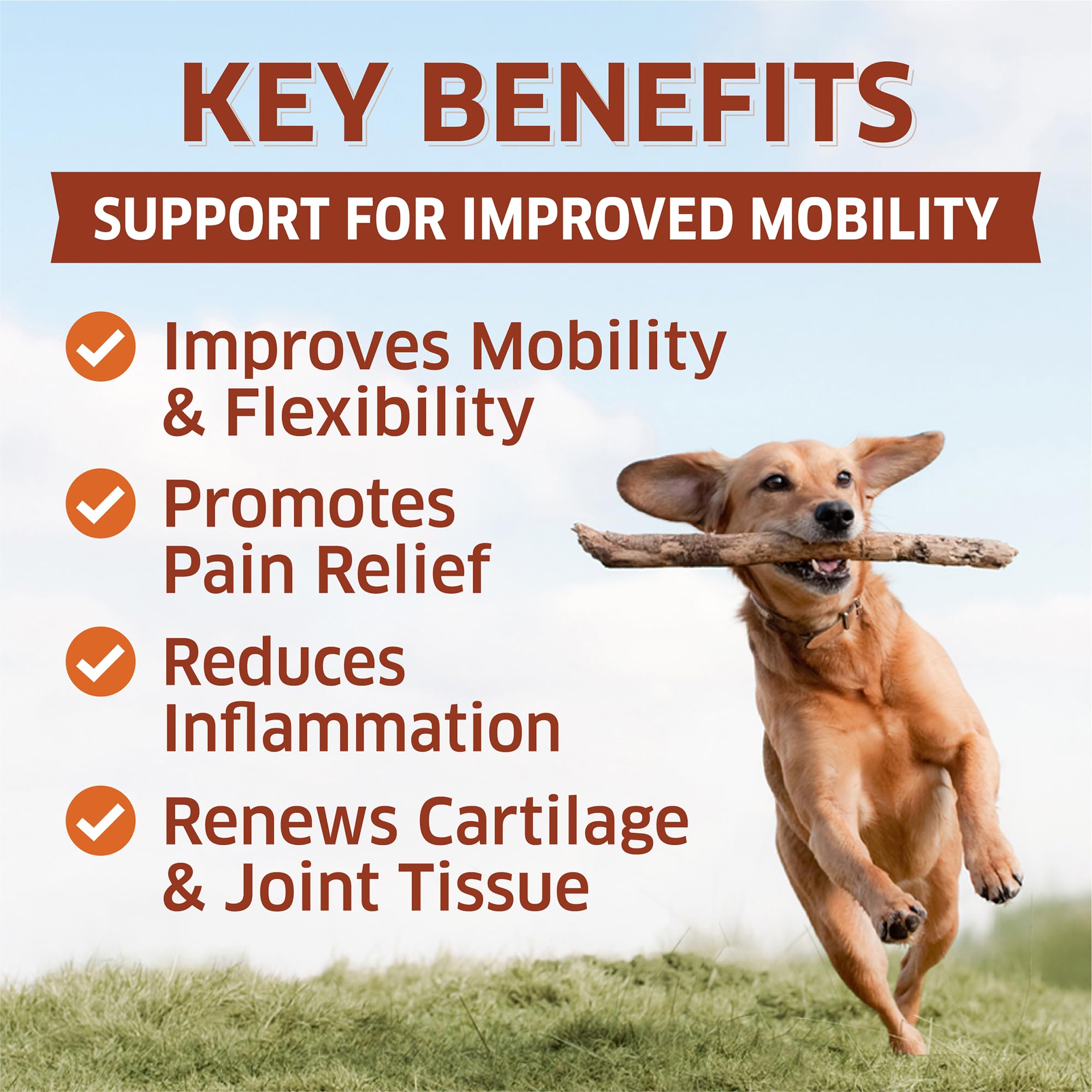 Fur Belly glucosamine dog joint supplement label shot highlights natural ingredients