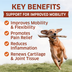Fur Belly glucosamine dog joint supplement label shot highlights natural ingredients
